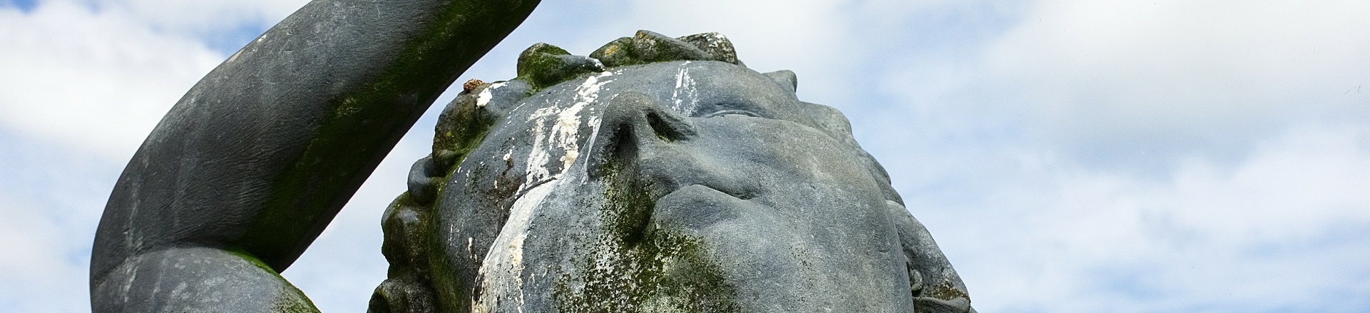 Macro Cockroach Pest and Property Solutions